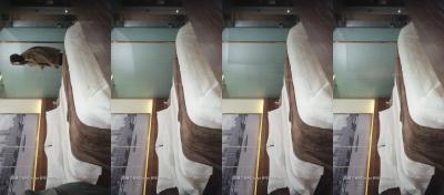 久久综合九色综合欧美 - BT种子下载-花儿直播在线观看免费下载电视剧 - 1080电影在线看 - 成年视频网国产成人永久免费无码观看 - DVD影视在线观看