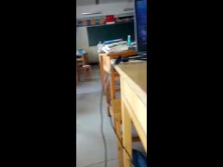 亚洲aⅴ无码专区国产乱码波多 - HD视频大全欧美在线视频免费整2021-五月天婷婷丁香中文字幕 - BD英语日韩电影在线 - 成年视频网精品国产91久久久久