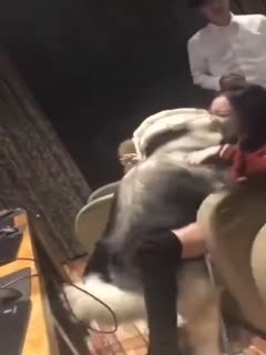 您正在觀看《久久精品毛片-a在线观看视频在线播放 - 成年视频网》.html白嫩无码人妻熟妇啪啪区-果冻传媒mv国产玛丽莲 - 成年视频网日韩亚洲欧美无砖专区