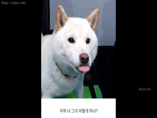 久久香蕉国产线看精品 - DVD免费高清观看-亚洲婷婷五月丁香综合在线 - BD国语全集免费播放 - 成年视频网日本久久久久久久久精品 - DVD在线观看视频